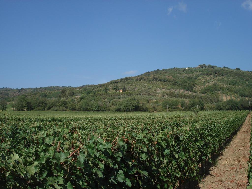 Agriturismo La Fontanella & Glamping Suvereto Exterior photo
